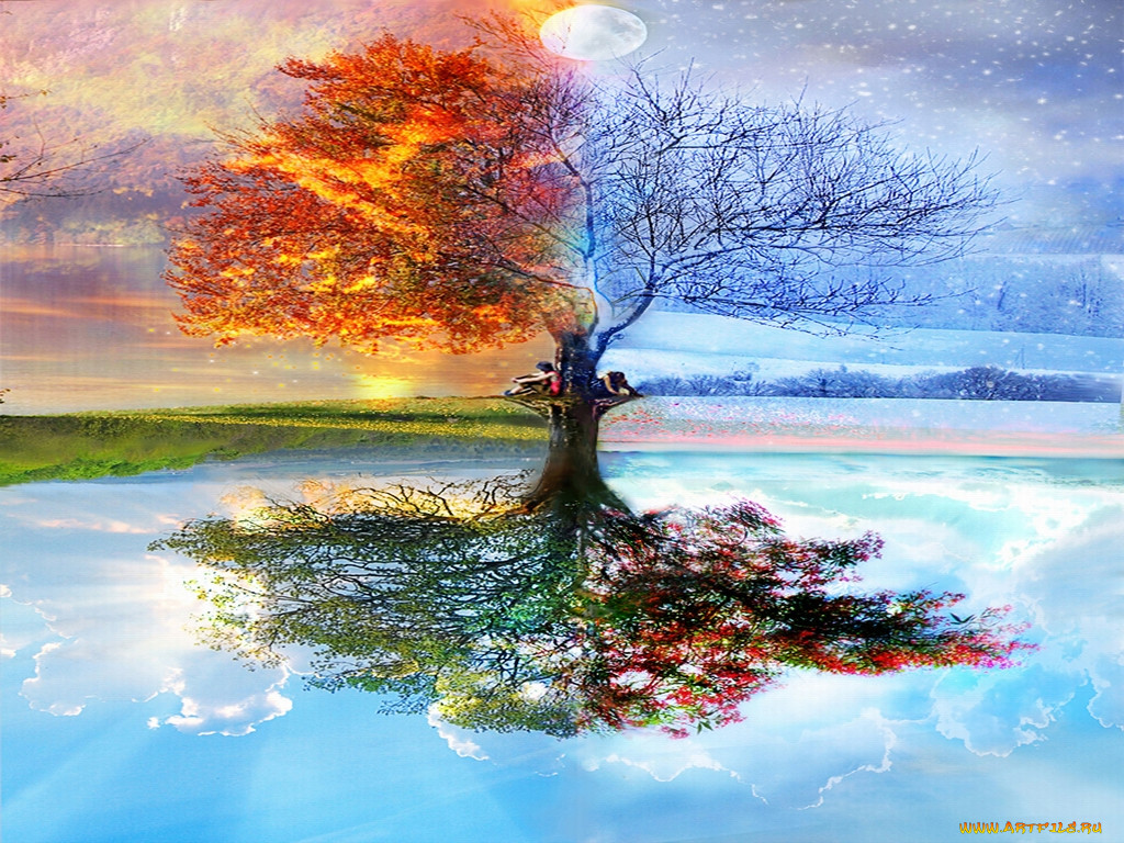, 